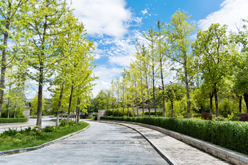 Fototapeta na wymiar Stone pathway on the park
