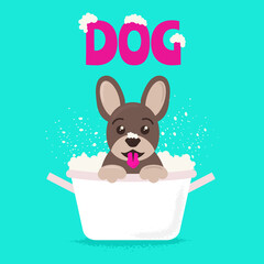 Cute dog sits in a bathtub with foam and bathes