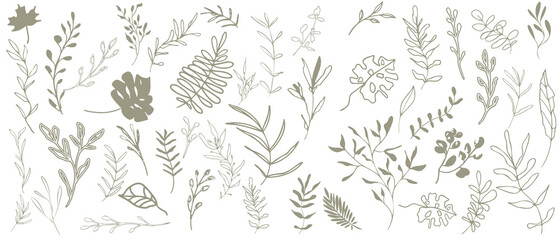 Big hand drawn colorful plant set - universally usable. Botanical, chic and trendy plants. Hand drawn lines, elegant leaves for your own design. Flower branch and minimalistic modern plants.