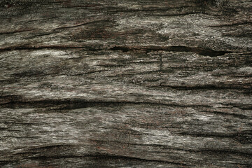 Wood texture natural, Surface eroded by time,Old wood background, Selective focus.	