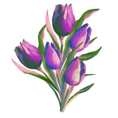 bouquet of blooming flowers purple tulips watercolor illustration