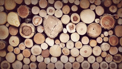 Möbelaufkleber pattern of brown wood log background texture, vintage style © monkeyDluffy