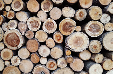 pattern of brown wood log background texture