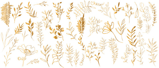 Big hand drawn colorful gold plant set - universally usable. Botanical, chic and trendy plants. Hand drawn lines, elegant leaves for your own design. Flower branch and minimalistic modern plants. - obrazy, fototapety, plakaty