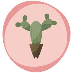 Big Cactus in Brown Cone Shaped Flower Pot, Home Decor Object