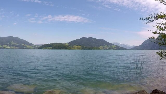 awsome lake in austria named mondsee with mountains, waving reeds, wavy water a sunny day with a blue sky and a little sailboat all in all a georgous summer day