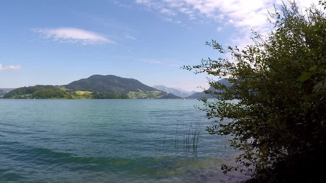 beautiful lake in austria named mondsee with mountains, waving reeds and wavy water a sunny day with a blue sky all in all a georgous summer day