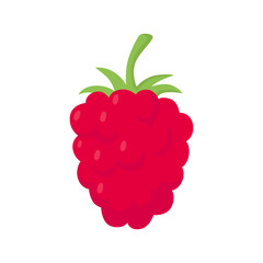 Raspberry - berry. Flat vector illustration in cartoon style