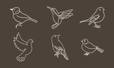 Set of Bird logo in a minimal linear style. Creative abstract bird logo collection
