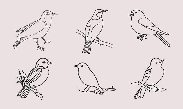Set of Bird logo in a minimal linear style. Creative abstract bird logo collection