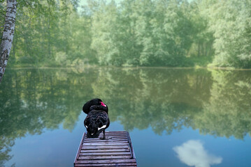 Autumn in the mountains of the Caucasus.