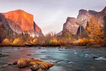 Wall murals Half Dome Breathtaking view of Yosemite valley with half dome and El-Capitan during winter from Merced River, Yosemite National Park, CA