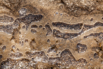 Dirty water under ice, nature pollution.