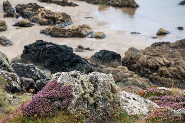 Llanddwyn beach on Anglesey Island in north Wales. A nature reserve with ancient natural geological features