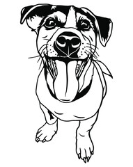 Jack Russell Terrier is a playful dog. Vector file for printing and sublimation and vinyl cutting. Love friendship dog clipart. Hand drawn funny animals. dog smile