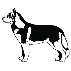 Siberian Husky standing body profile Dog  art. Dog Clipart Vector Art. Cut Ready Files Vinly Design © liza