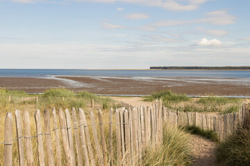 Obraz premium path to the beach