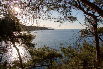 Calanque du port d'Alon en Provence