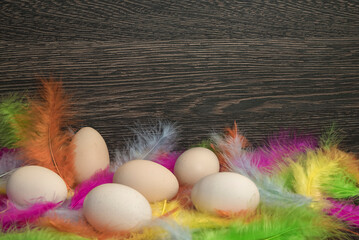 jajka wielkanocne w kolorowych piórach - obrazy, fototapety, plakaty