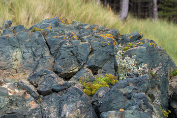 Focus on lava pillows and basalt rocks on Llanddwyn beach in north Wales