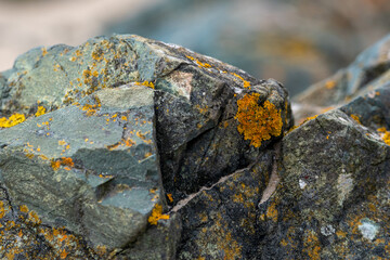 Focus on lava pillows and basalt rocks on Llanddwyn beach in north Wales