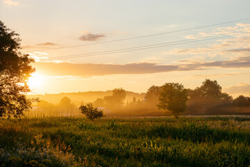 summer sunset, landscape, nature, golden sun, village, field, garden, sun, grass, garden, sky, plants, trees, fog, evening, yellow