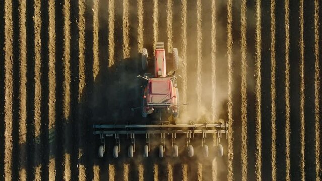 A combine harvests crops of the wheat field. Aerial footage of agricultural machinery working in the field, top view. High quality 4k footage