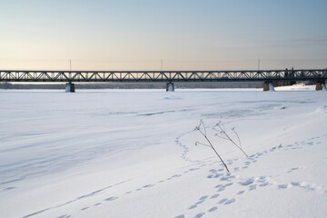 Vegetation Buried in Snow by a Frozen River