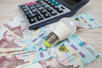 hryvnia energy saving light bulb and calculator.