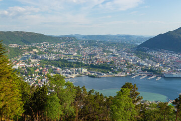 Obraz premium The forest on the Floyen hill. Bergen, Norway.