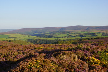 Scenic moorland landscape in Exmoor National Park, Somerset (UK)