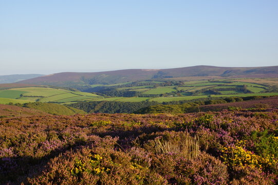 Scenic moorland landscape in Exmoor National Park, Somerset (UK)
