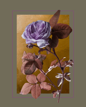 vintage rose on gold background, abstract frame, photo collage.