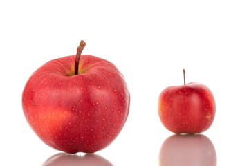 Two ripe red apples, macro, isolated on a white background.