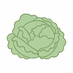 Cabbage in cartoon style with outline. Food illustration isolated on white background.