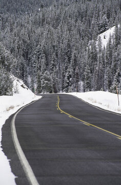 Road passing through a snow covered landscape, Highway 75, Ketchum, Idaho, USA