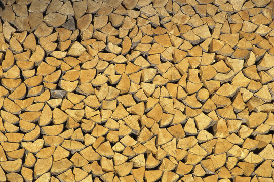 Pile of wood logs