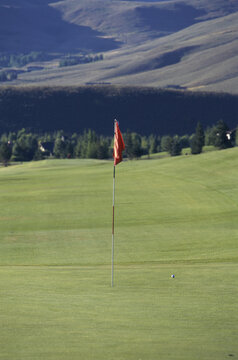 Golf ball near a flag on a golf course