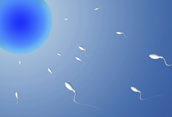 Sperm fertilizing an egg