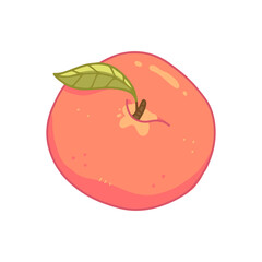 Peach with a leaf in cute cartoon style. Isolated illustration.