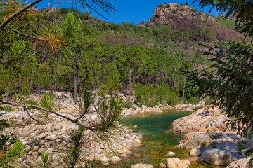 Fototapeta na wymiar Solenzara river in Bavella forest. Solenzara River with its wonderful natural pools in the crystal clear water in the southeast of the island of Corsica, France