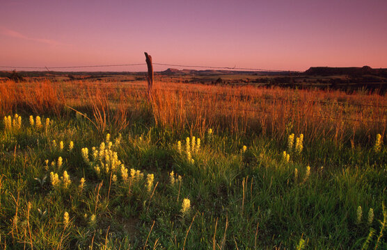 Panoramic view of a landscape
