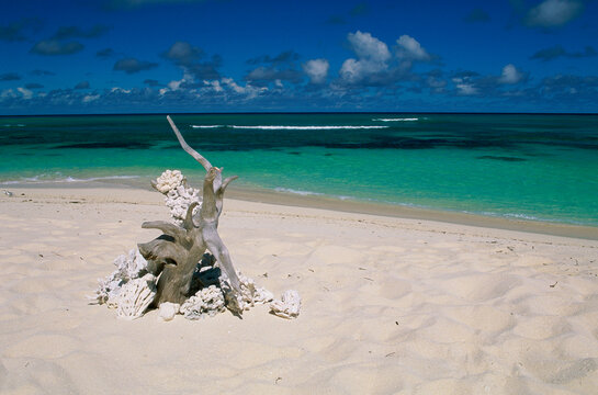 「Denis」の画像 2,771 件の Stock 写真、ベクターおよびビデオ Adobe Stock