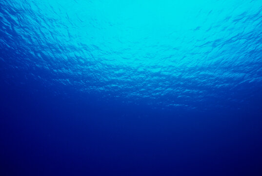 Close-up of water surface