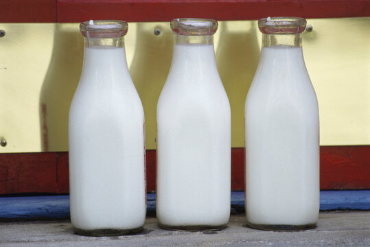 Three bottles of milk