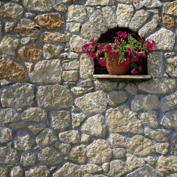 Arrangement of flowers on a rock wall