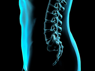 Close-up of an x-ray image of a human spine