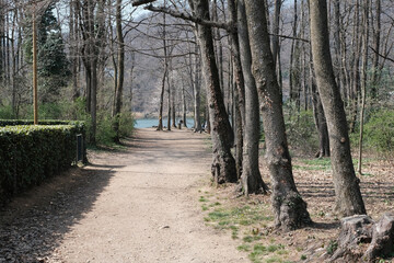 Fototapeta premium Il parco presso il laghetto di Origlio in Canton Ticino, Svizzera.