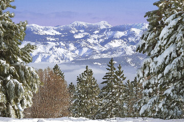 Snow covered landscape, Mount Rose, Truckee, California, USA