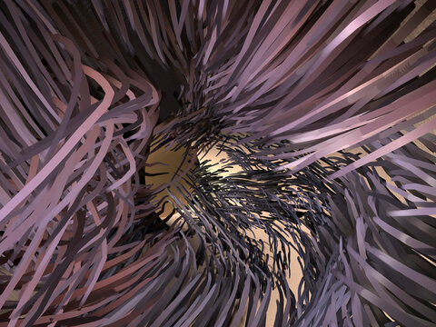 Close-up of the inner parts of the human ear